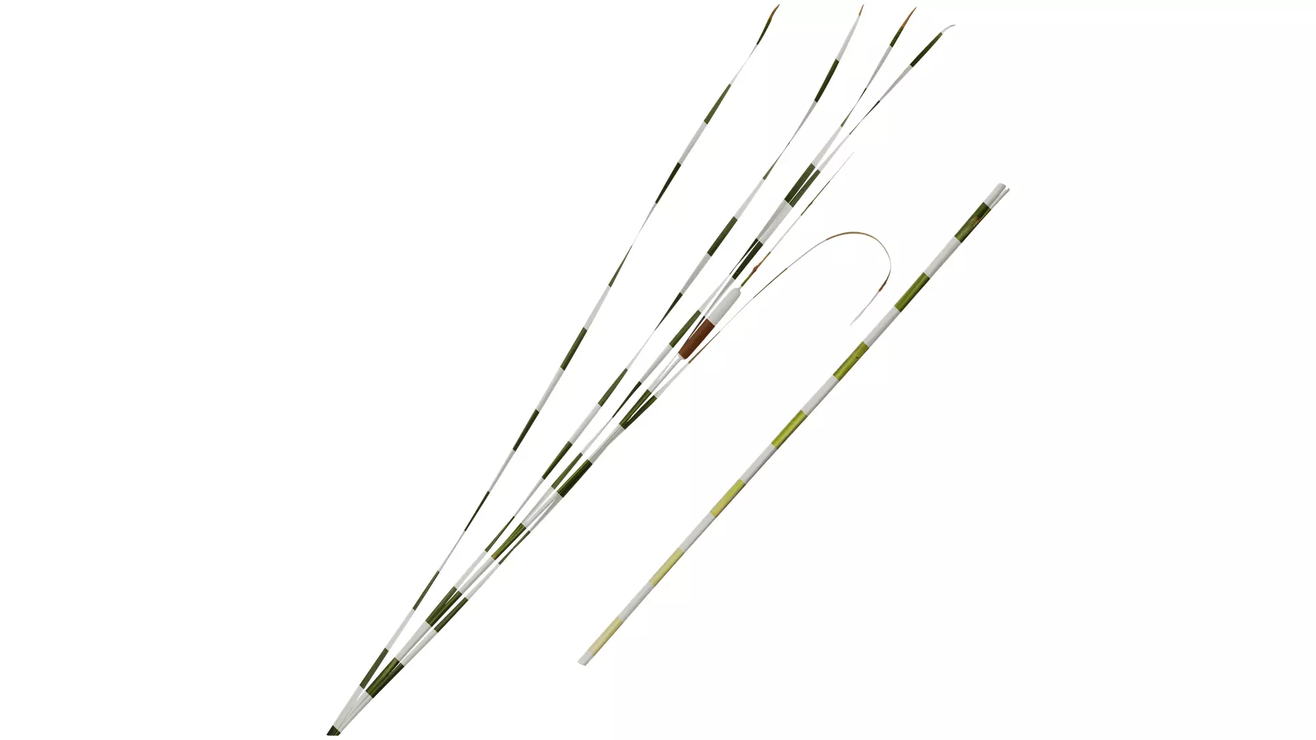 Anydrafts Typha orientalis Atlas 02 Texture_0