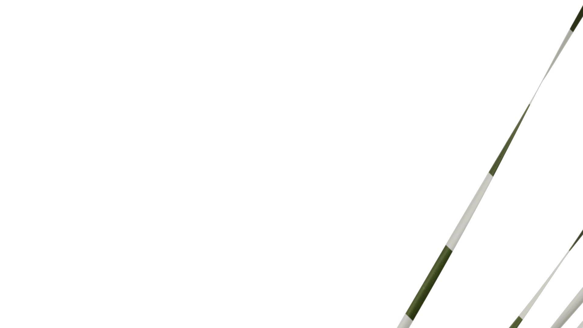 Anydrafts Typha orientalis Atlas 02 Texture_3