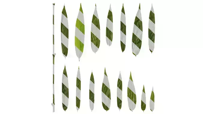 Anydrafts Bambusa boniopsis Leaf 01 Texture