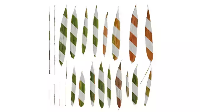 Anydrafts Bambusa lako Leaf 01 Texture
