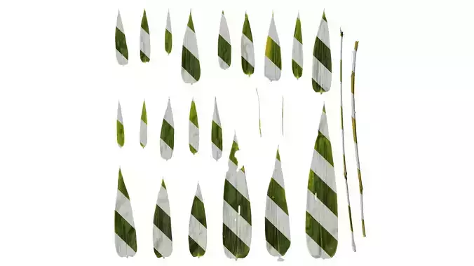 Anydrafts Bambusa lako Leaf 03 Texture
