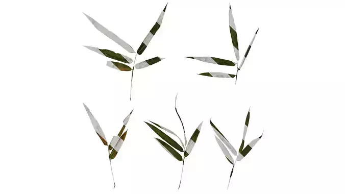 Anydrafts Bambusa lako Leaf 04 Texture