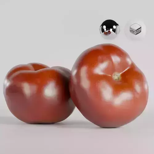 Tomato