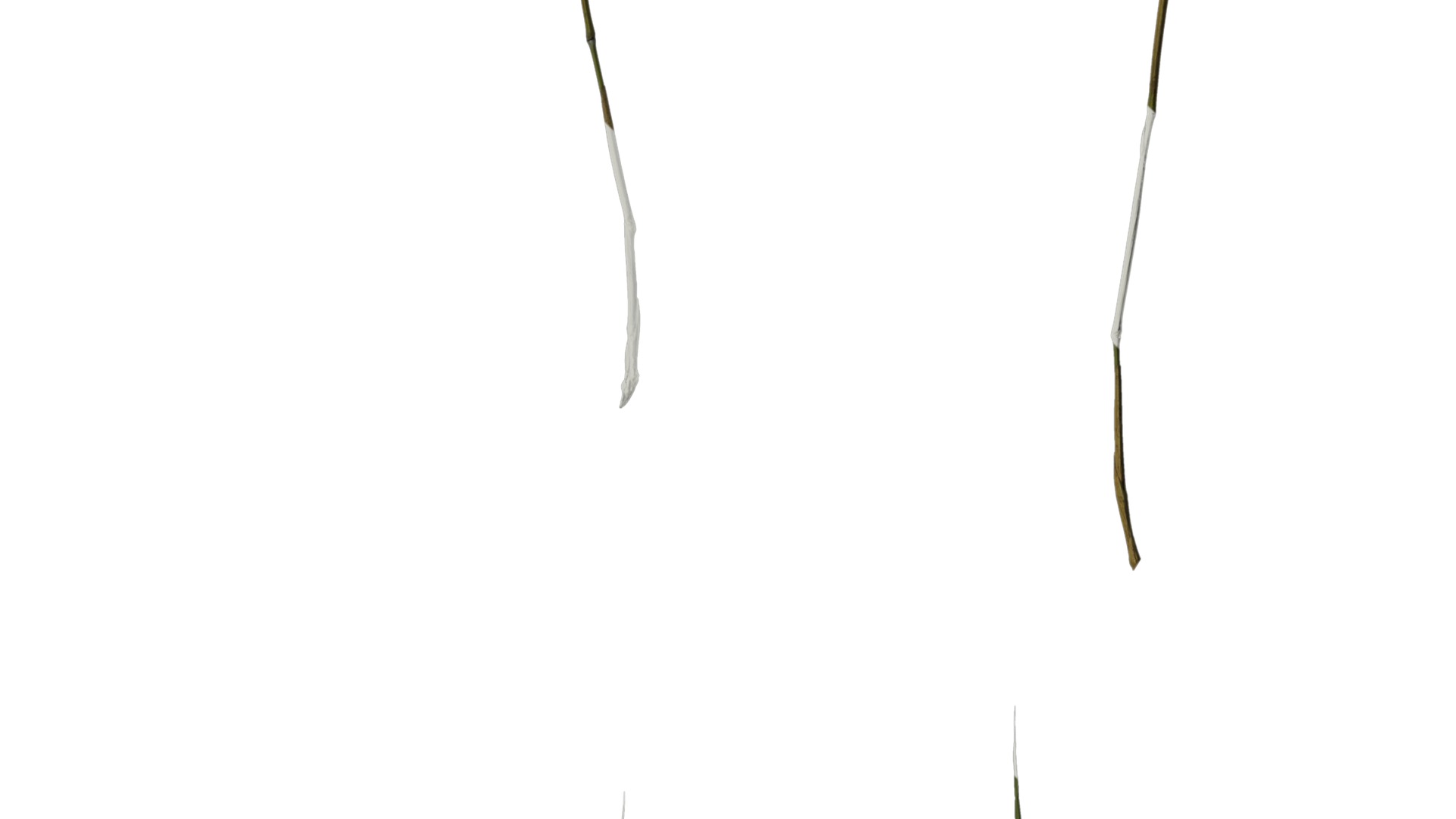 Anydrafts Bambusa multiplex Atlas 03 Texture_7