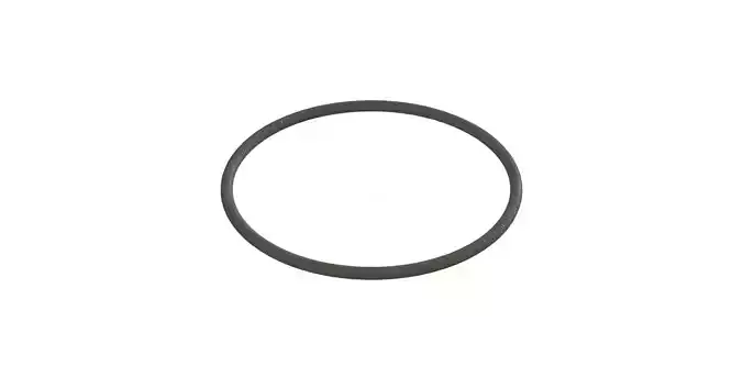 O Ring Vedabras 12198