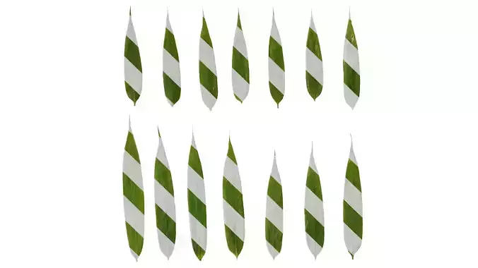 Anydrafts Bambusa multiplex Leaf 02 Texture