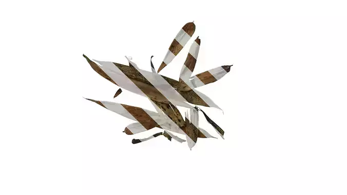 Anydrafts Bambusa multiplex Leaf 04 Texture