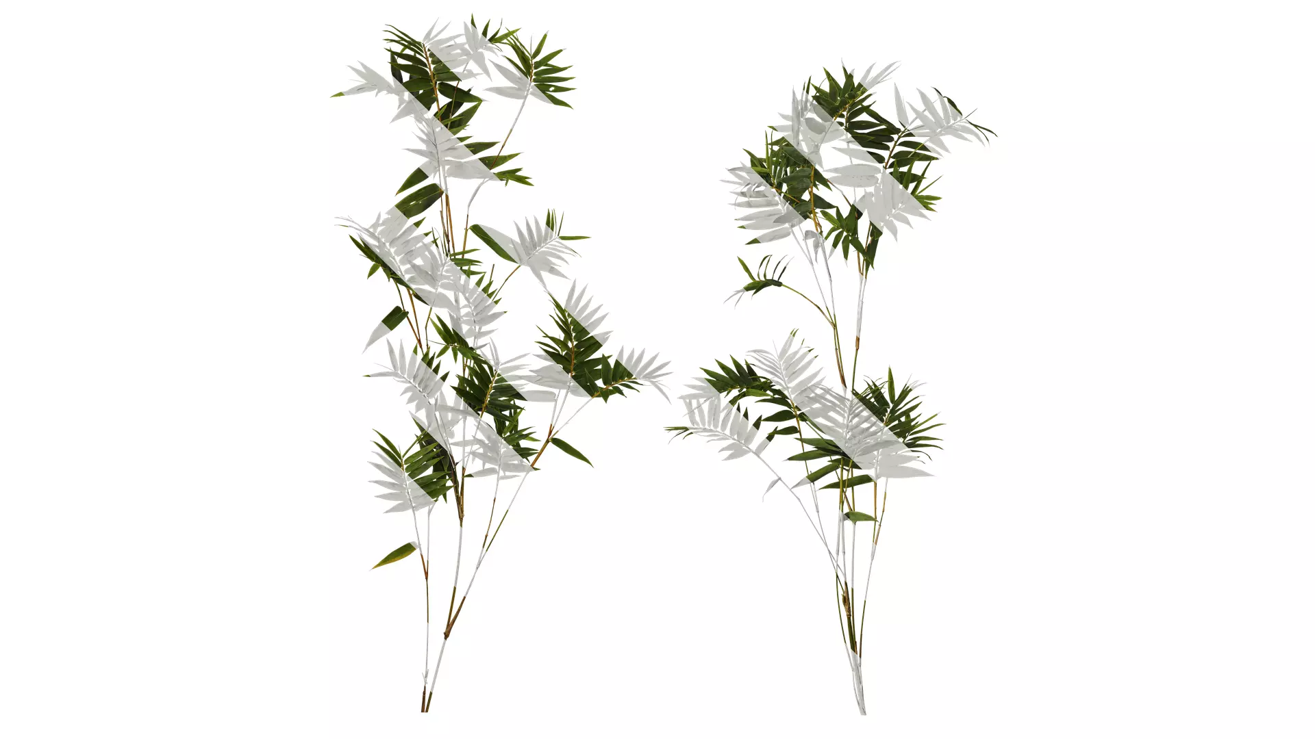 Anydrafts Bambusa multiplex fernleaf Atlas 04 Texture