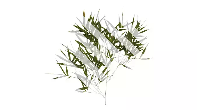 Anydrafts Bambusoideae Atlas 02