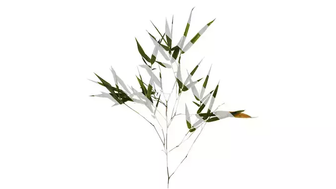 Anydrafts Bambusoideae Atlas 03