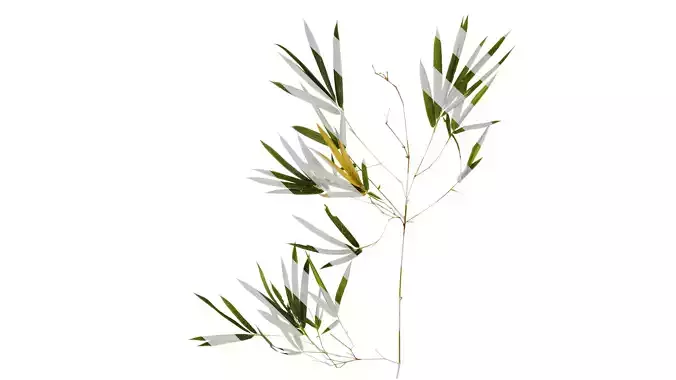 Anydrafts Bambusoideae Atlas 04