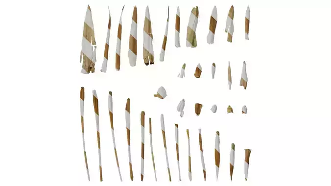 Anydrafts Bambusoideae Leaf sheath 02