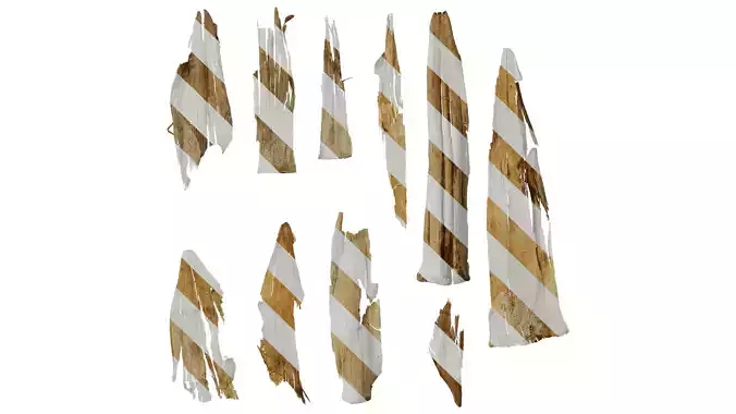 Anydrafts Bambusoideae Leaf sheath 03