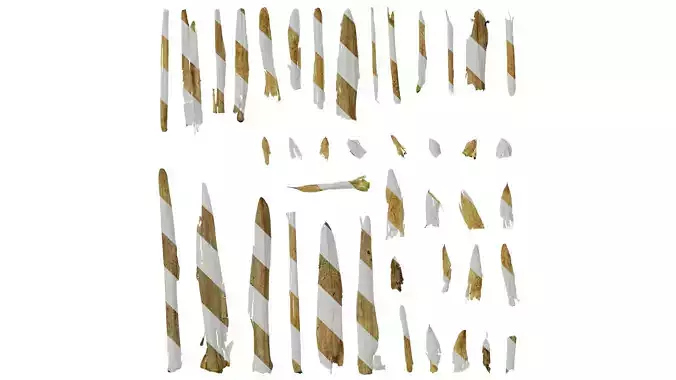 Anydrafts Bambusoideae Leaf sheath 04