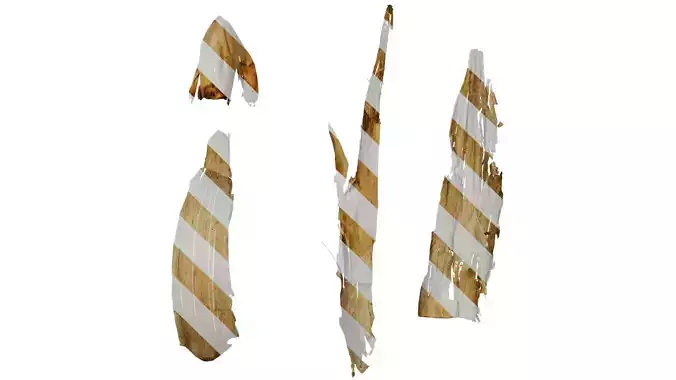 Anydrafts Bambusoideae Leaf sheath 05