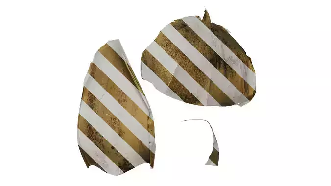 Anydrafts Bambusoideae Leaf sheath 06