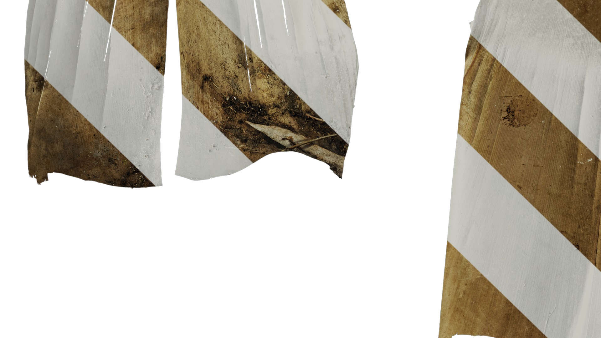 Anydrafts Bambusoideae Leaf sheath 08 B Texture_3