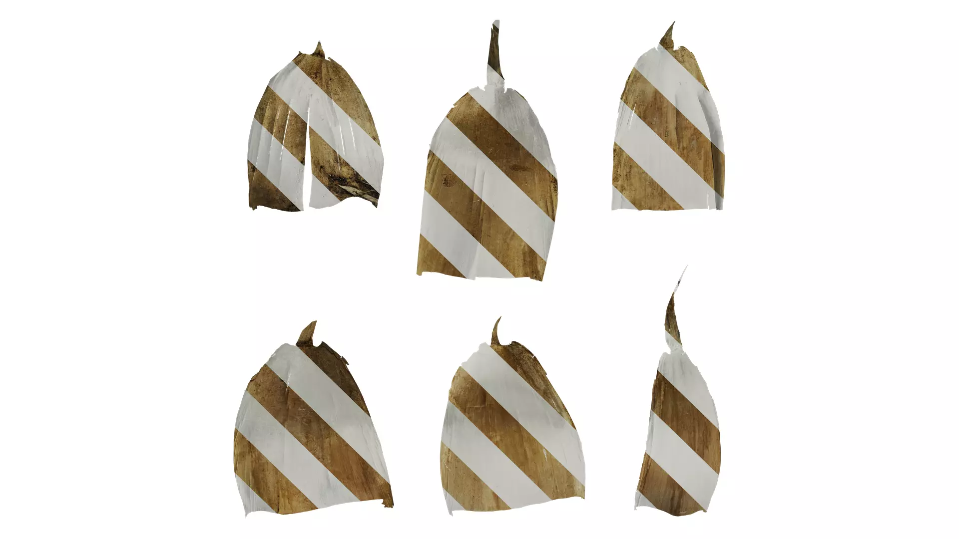 Anydrafts Bambusoideae Leaf sheath 08 B Texture_0