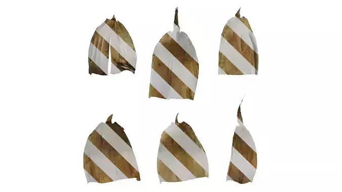 Anydrafts Bambusoideae Leaf sheath 08 B