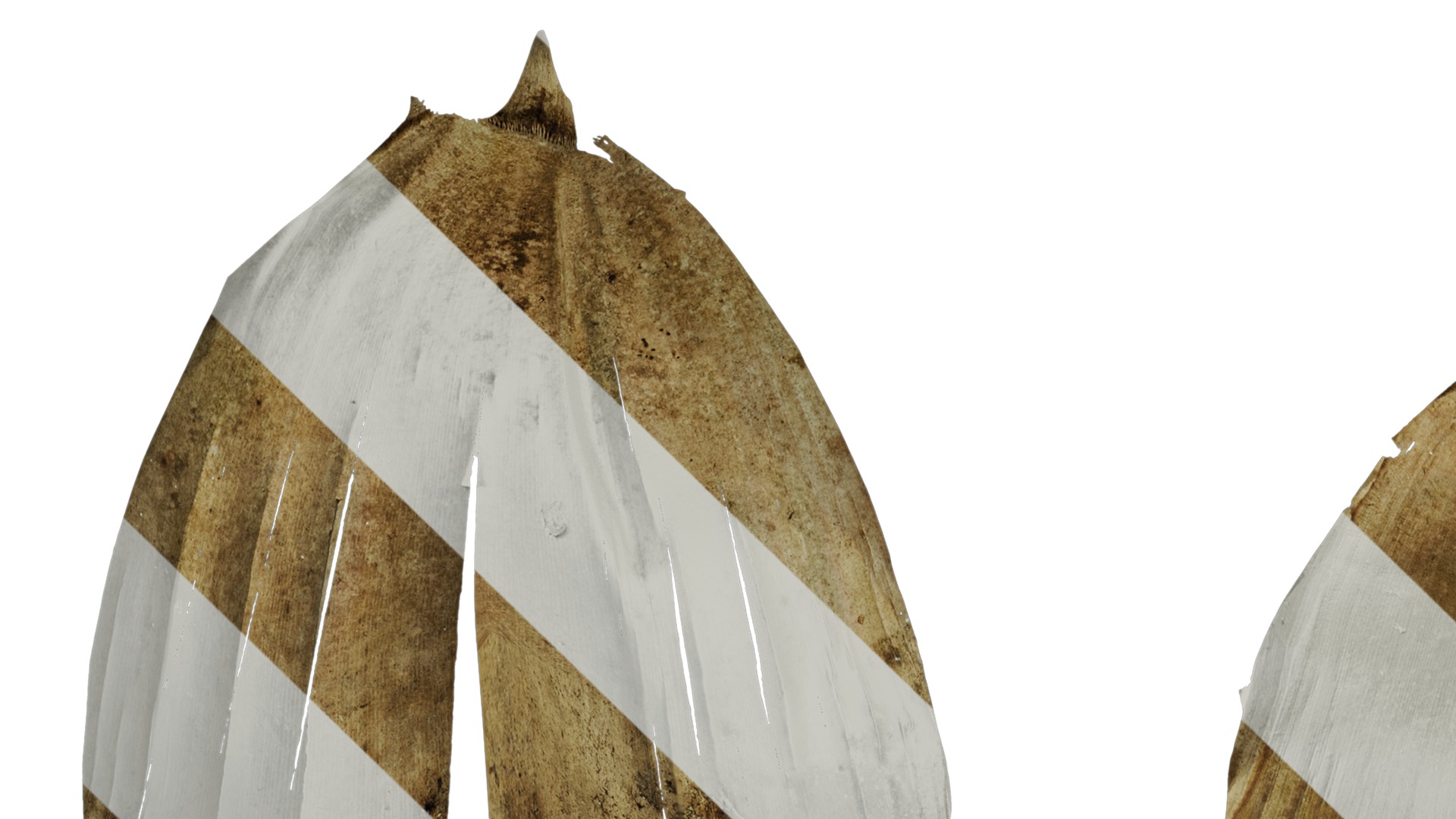 Anydrafts Bambusoideae Leaf sheath 08 B Texture_1