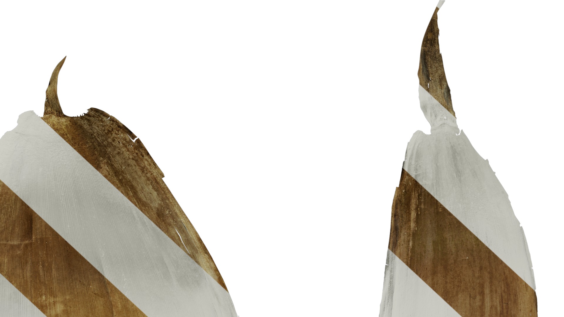 Anydrafts Bambusoideae Leaf sheath 08 B Texture_6