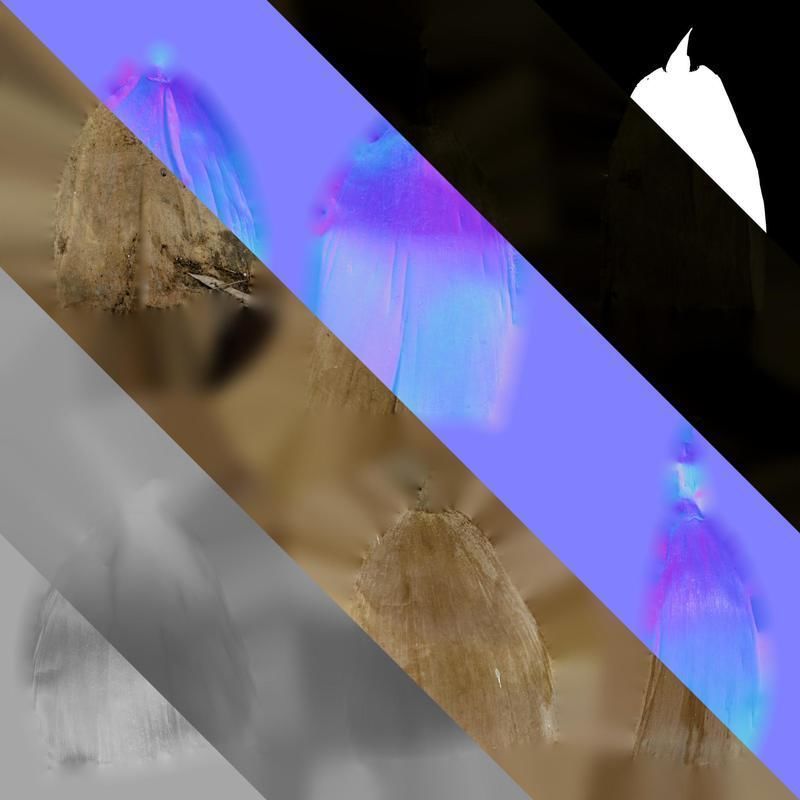 Anydrafts Bambusoideae Leaf sheath 08 B Texture_8