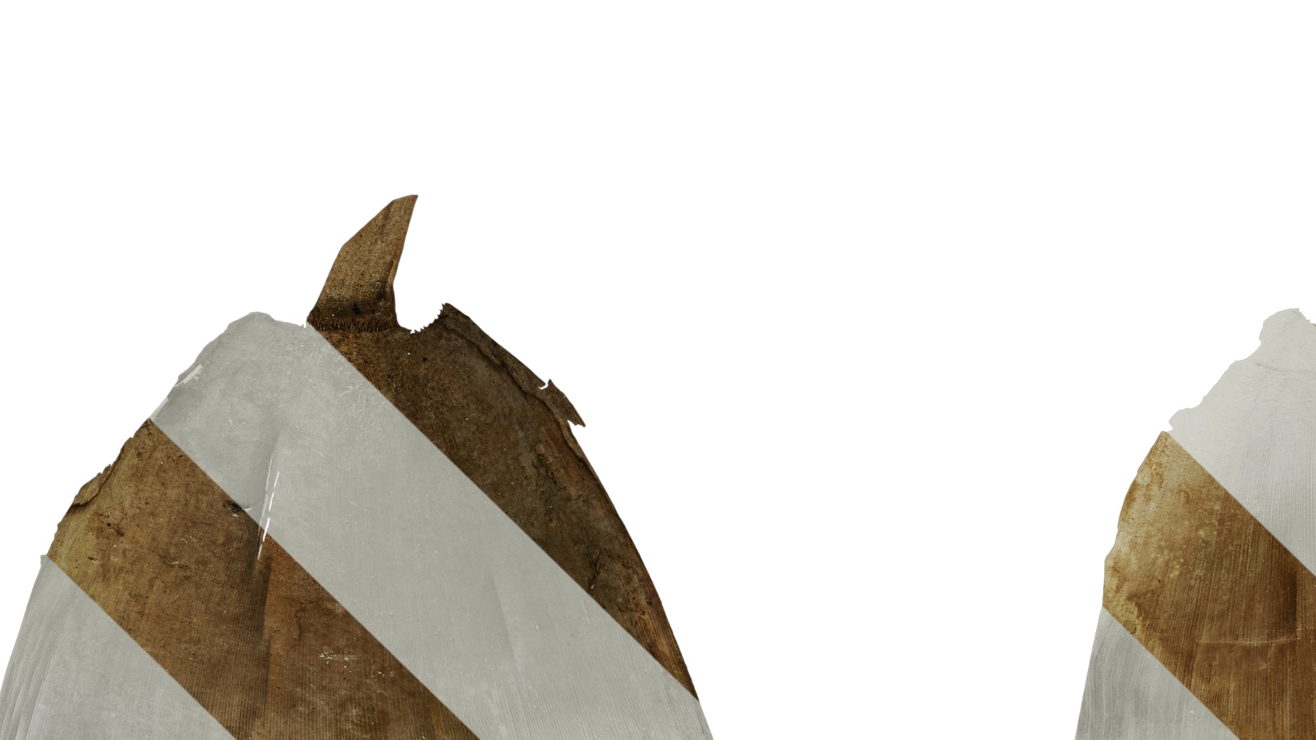 Anydrafts Bambusoideae Leaf sheath 08 B Texture_5