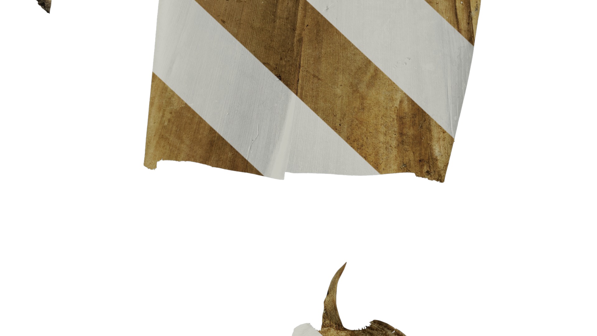 Anydrafts Bambusoideae Leaf sheath 08 B Texture_7