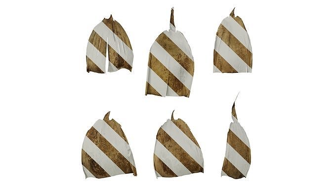Anydrafts Bambusoideae Leaf sheath 08 F Texture