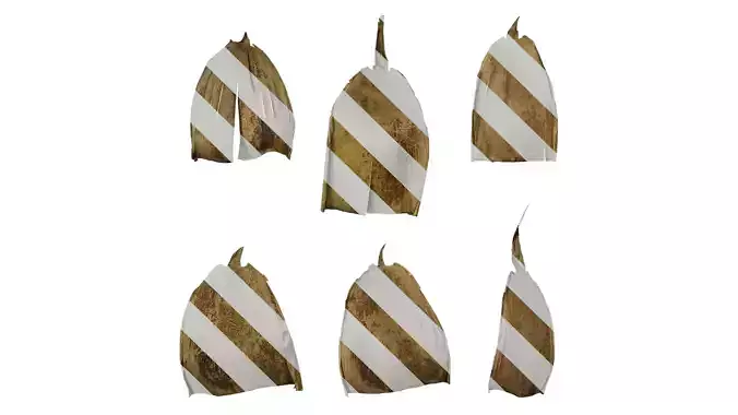 Anydrafts Bambusoideae Leaf sheath 08 F