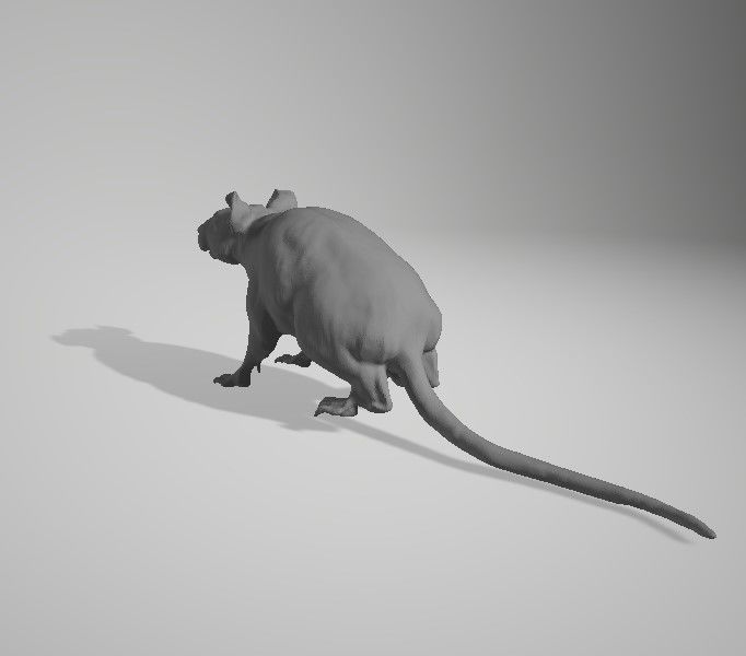 68 Animals figure for 3D Printing 3D print model_59