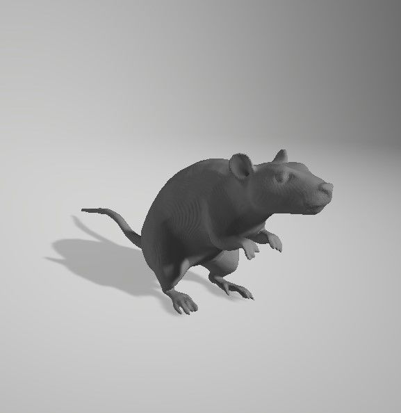 68 Animals figure for 3D Printing 3D print model_60