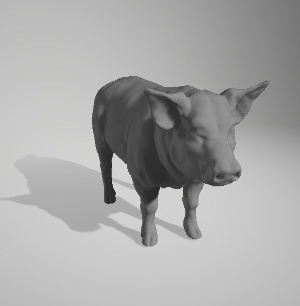 68 Animals figure for 3D Printing 3D print model_54