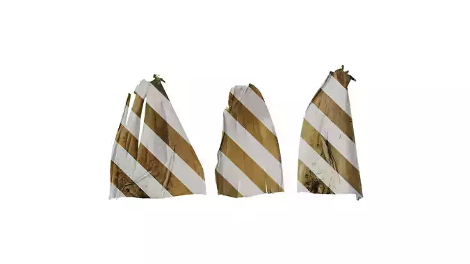 Anydrafts Bambusoideae Leaf sheath 09 B