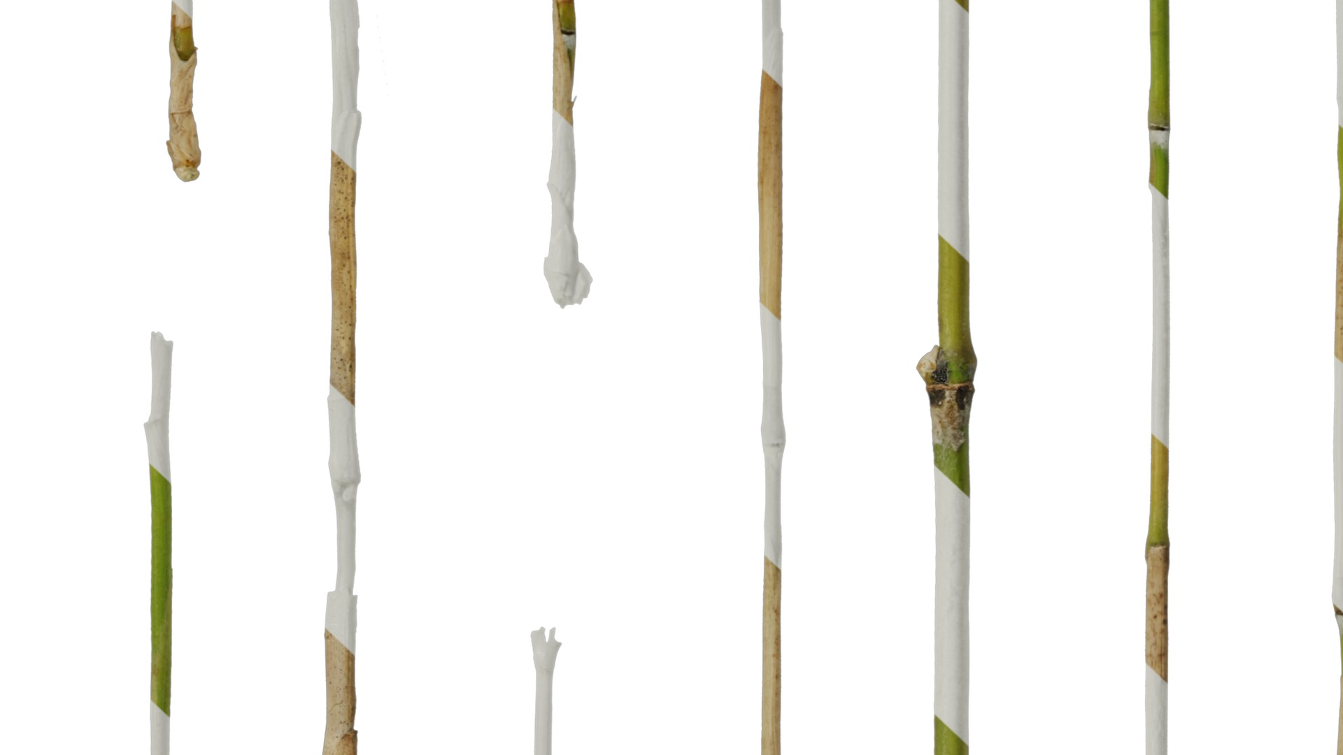 Anydrafts Bambusoideae Stem 01 Texture_7