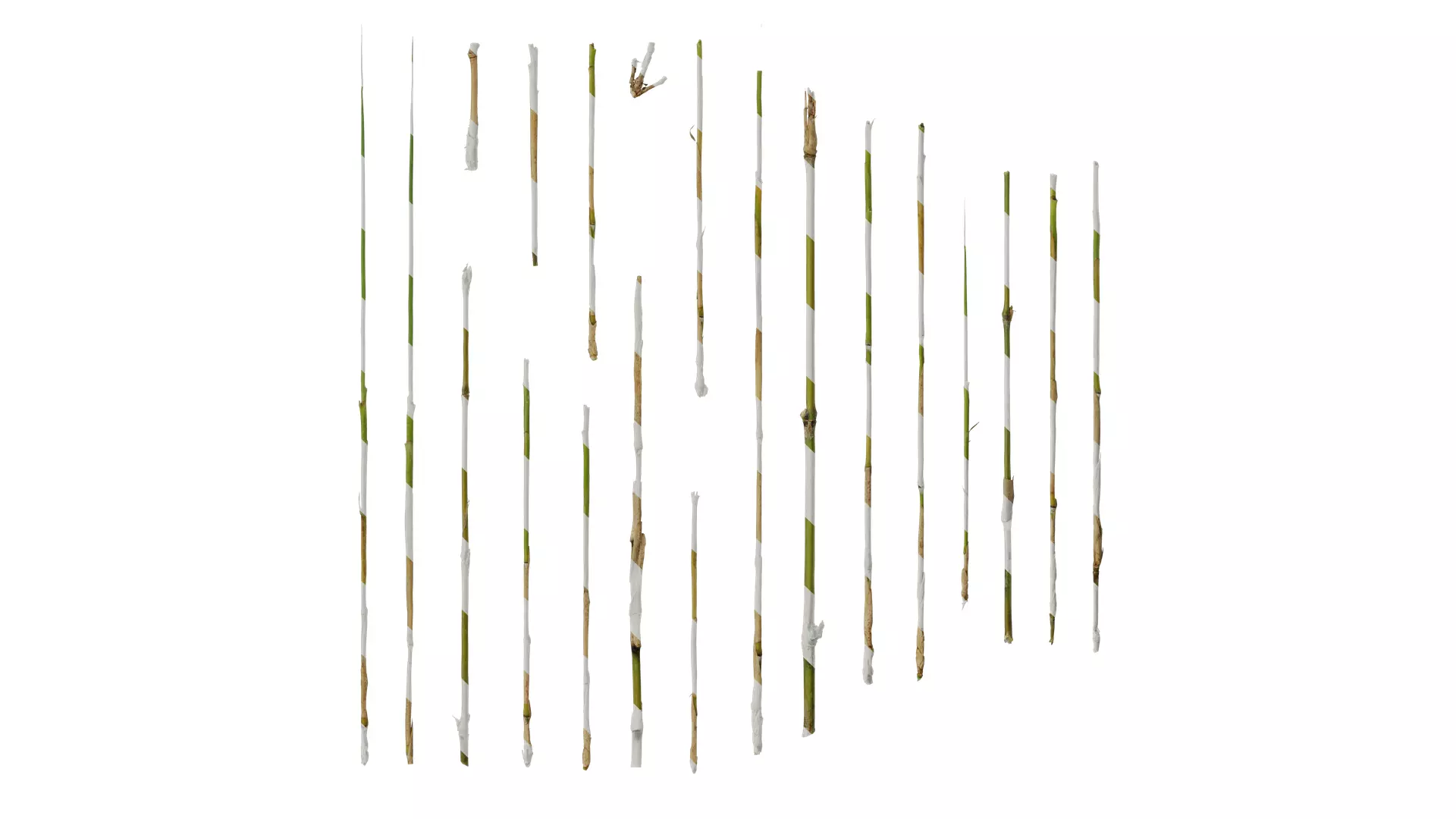 Anydrafts Bambusoideae Stem 01 Texture_0