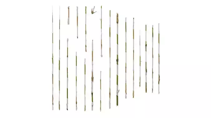 Anydrafts Bambusoideae Stem 01