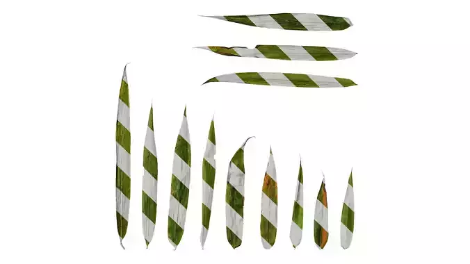 Anydrafts Chimonobambusa quadrangularis Leaf 01