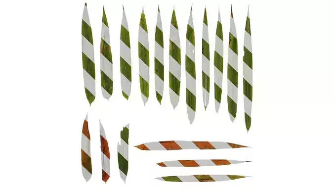 Anydrafts Chimonobambusa quadrangularis Leaf 02