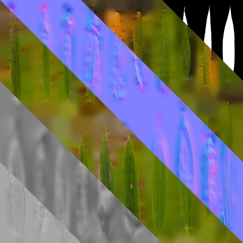 Anydrafts Chimonobambusa quadrangularis Leaf 03 Texture_8