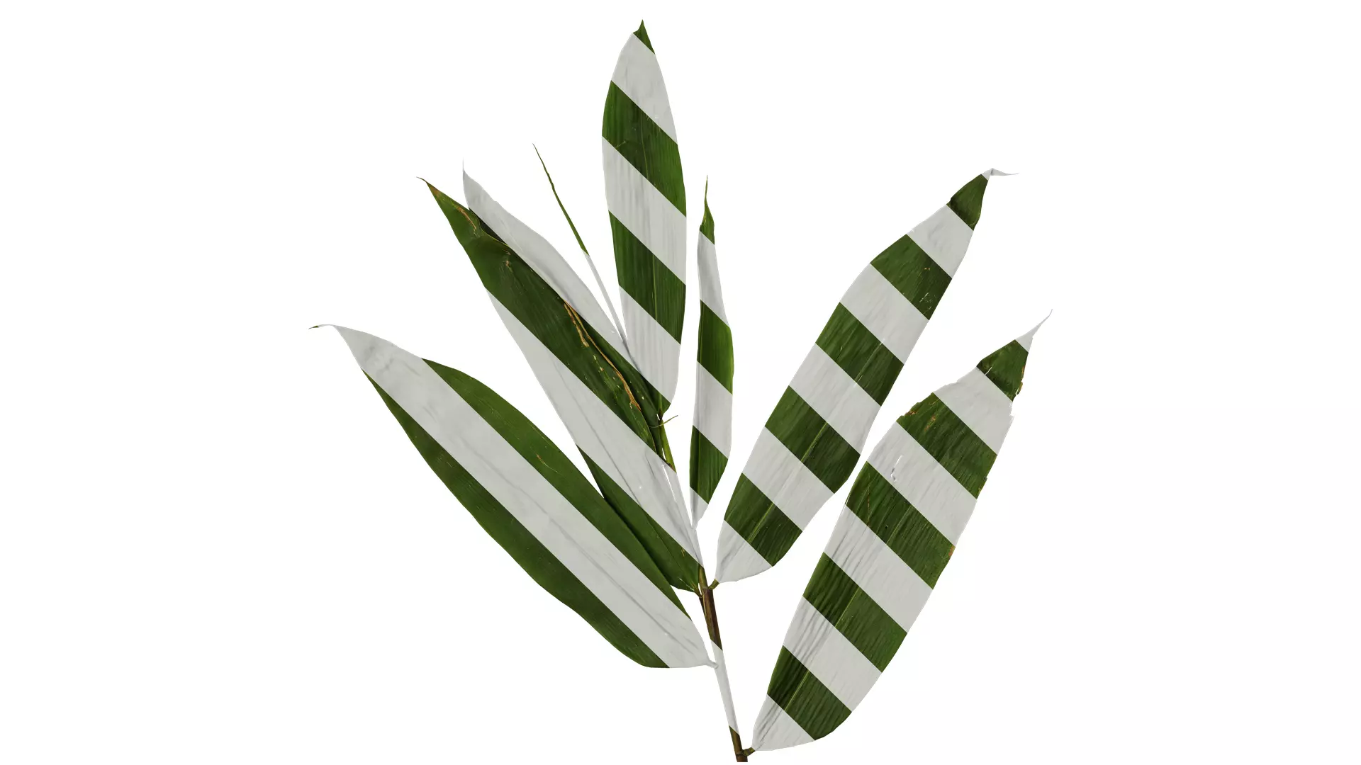 Anydrafts Indocalamus tessellatus Atlas 02 Texture_0