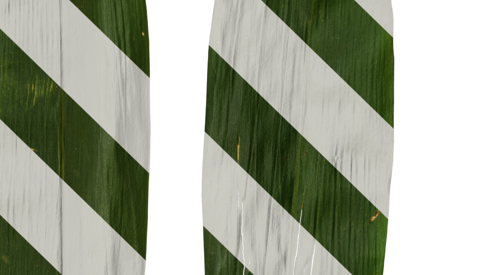 Anydrafts Indocalamus tessellatus Leaf 02 Texture_3