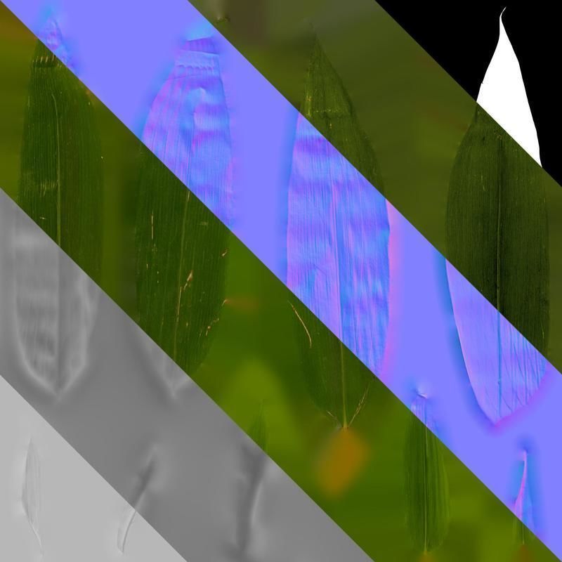 Anydrafts Indocalamus tessellatus Leaf 02 Texture_8