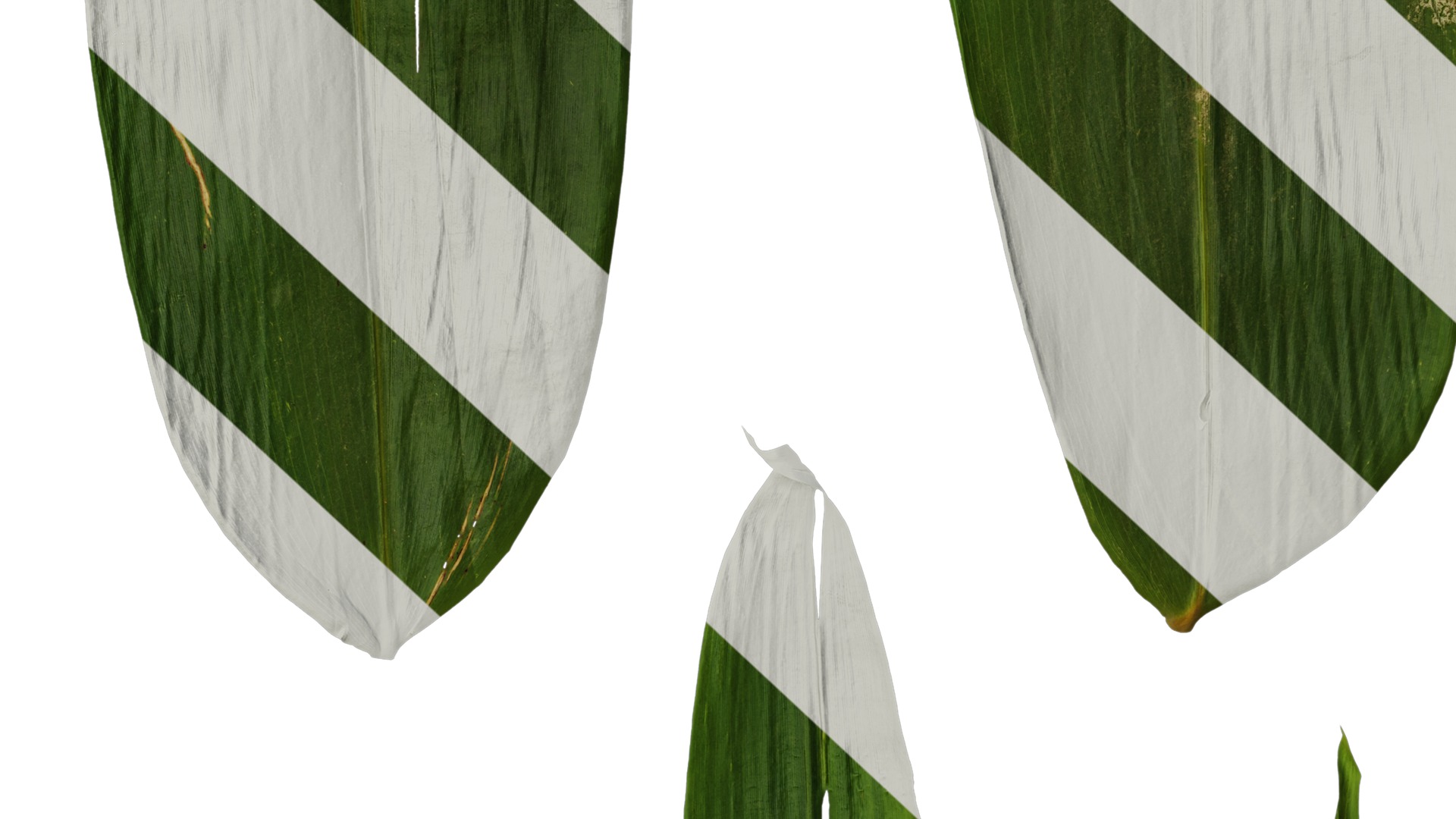 Anydrafts Indocalamus tessellatus Leaf 02 Texture_6