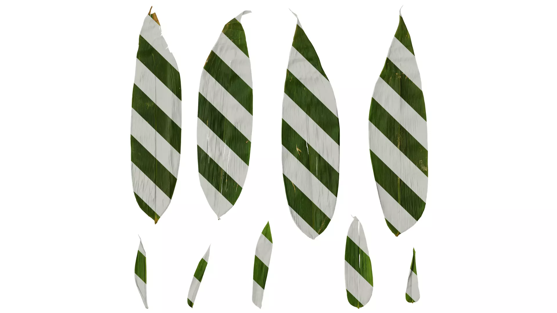 Anydrafts Indocalamus tessellatus Leaf 02 Texture_0