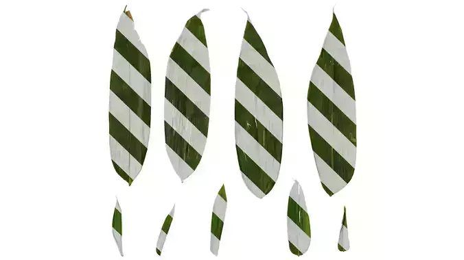 Anydrafts Indocalamus tessellatus Leaf 02