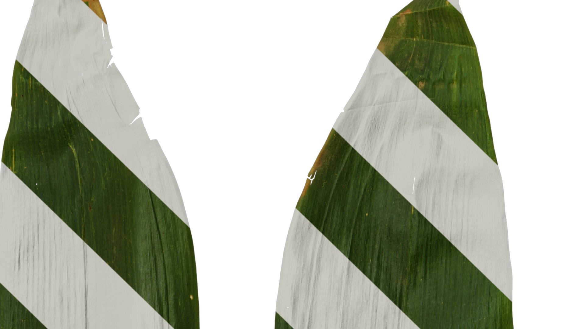 Anydrafts Indocalamus tessellatus Leaf 02 Texture_1