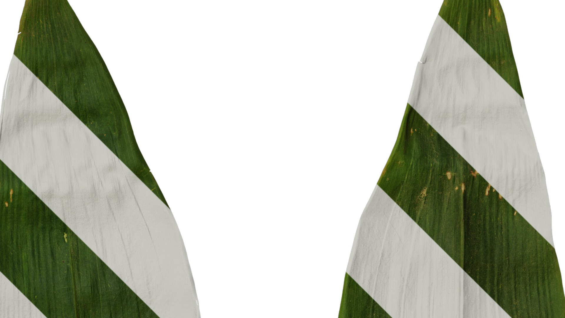 Anydrafts Indocalamus tessellatus Leaf 02 Texture_2