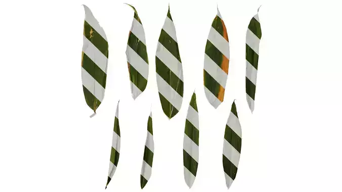 Anydrafts Indocalamus tessellatus Leaf 03