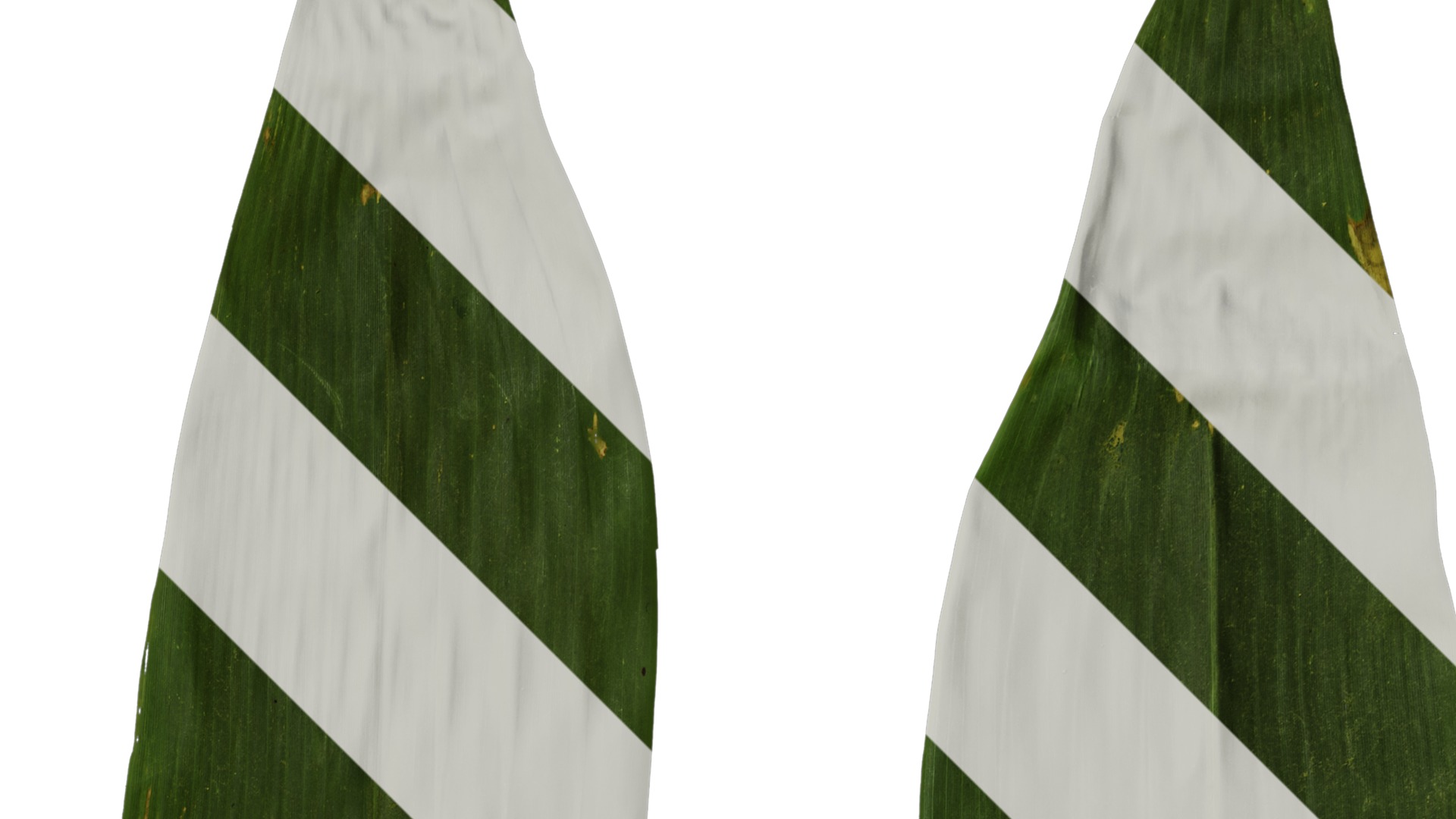 Anydrafts Indocalamus tessellatus Leaf 05 Texture_2